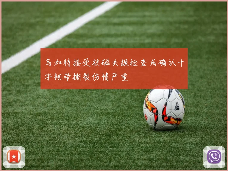 乌加特接受核磁共振检查或确认十字韧带撕裂伤情严重