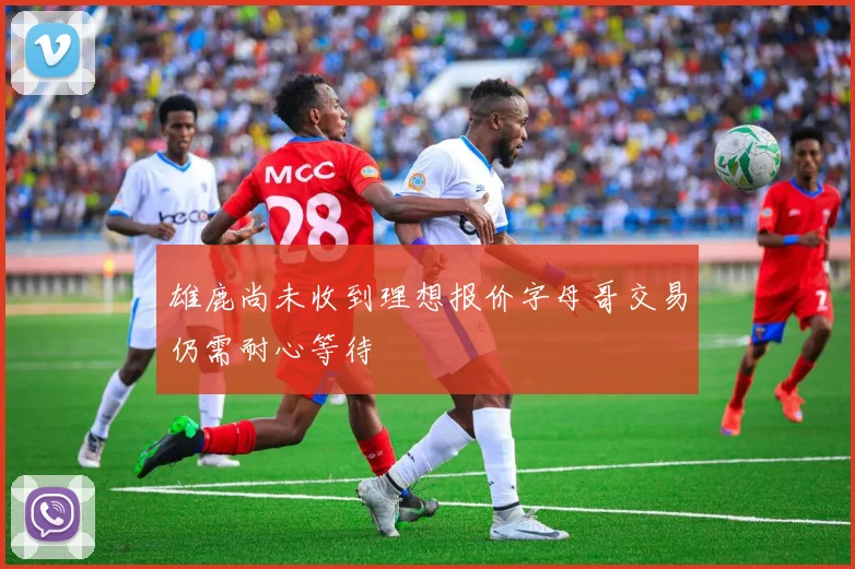 雄鹿尚未收到理想报价字母哥交易仍需耐心等待